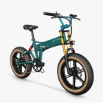 Fiido M1 Pro Fat Tire Electric Bike 2021 electric bike image 04