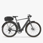 Fiido C21 E-Gravel & City E-Bike 2023 electric bike image 02
