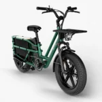 Fiido T2 Longtail Cargo E-bike 2023 electric bike image 05