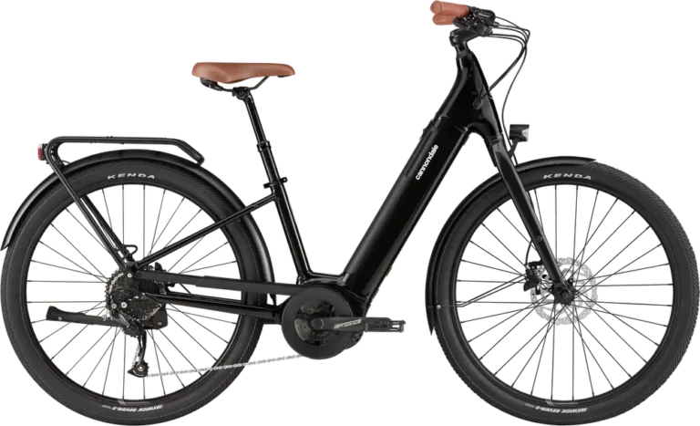 Cannondale Adventure Neo 3.1 EQ 2024