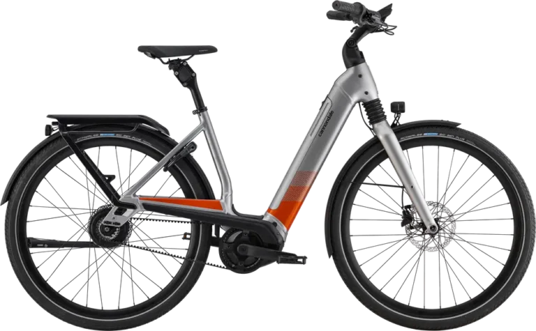 Cannondale Mavaro Neo 1