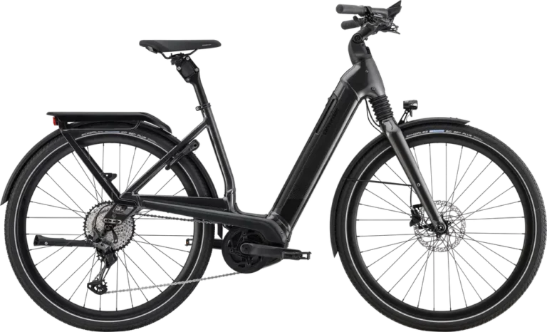 Cannondale Mavaro Neo 2