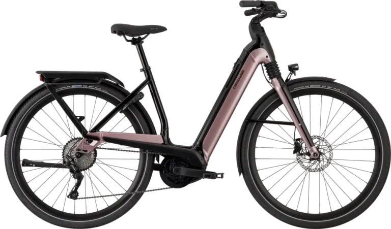 Cannondale Mavaro Neo 3 2024