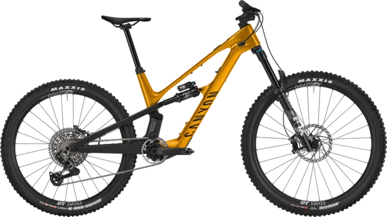 Canyon Spectral:ONfly CF CLLCTV 2025