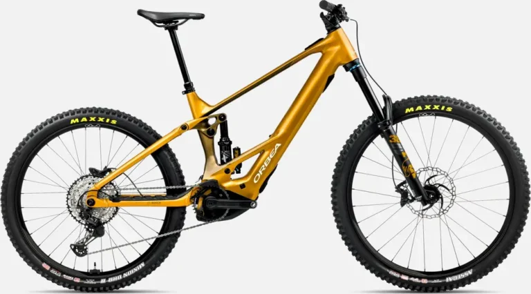 Orbea WILD H10 MULLET