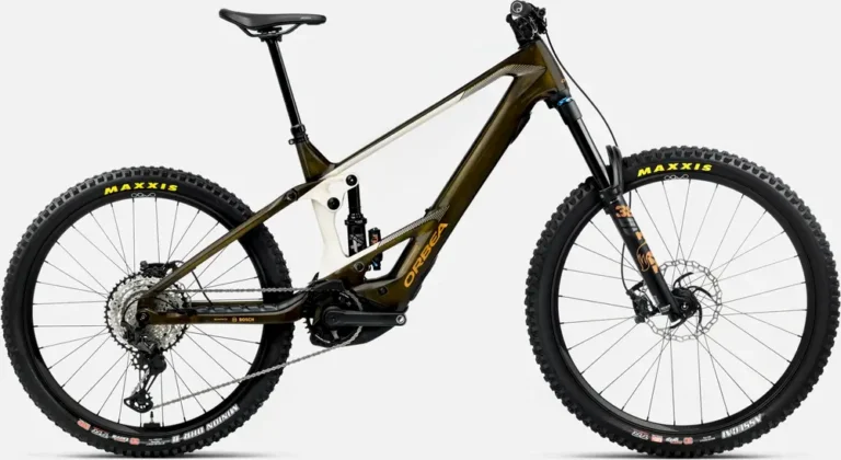 Orbea WILD M10 MULLET
