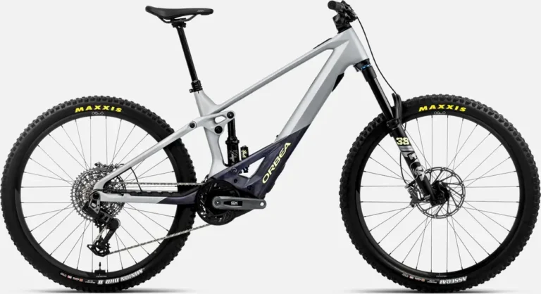 Orbea WILD M11-AXS
